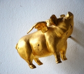 Goldschweinengel