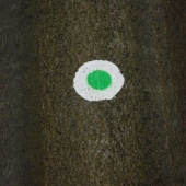 Der grüne Punkt